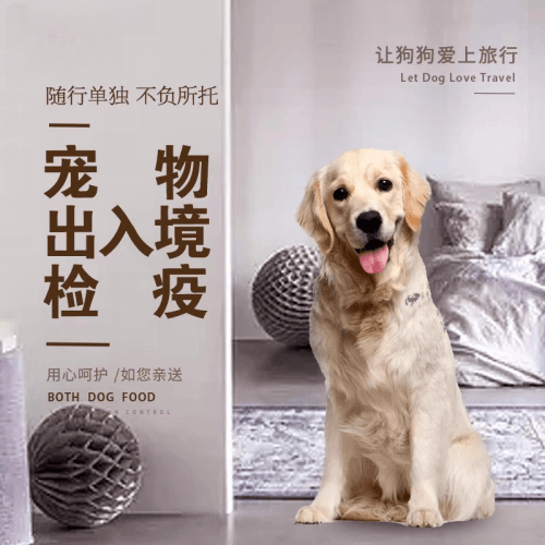 西宁市宠物托运到哥伦比亚猫狗宠物入境规定和