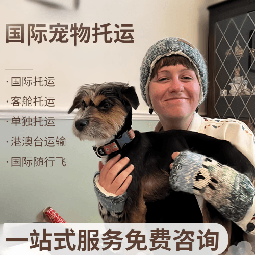西宁市国际宠物托运到阿根廷宠物入境规定和要