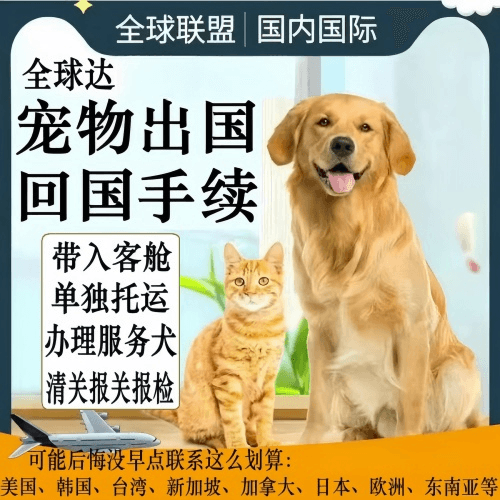 西宁市宠物托运到柬埔寨宠物入境规定和要求