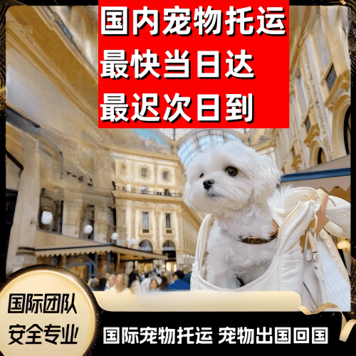 西宁市到澳大利亚（澳洲）宠物入境规定和要求